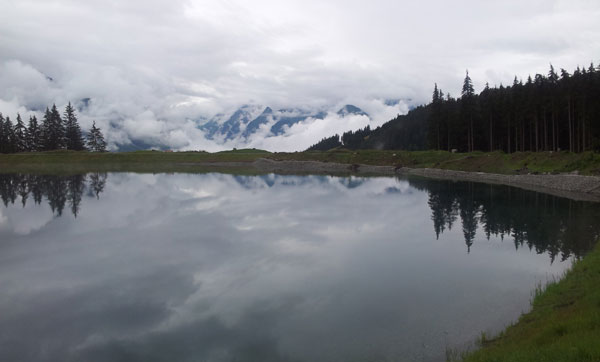 Speichersee  mit Kitz