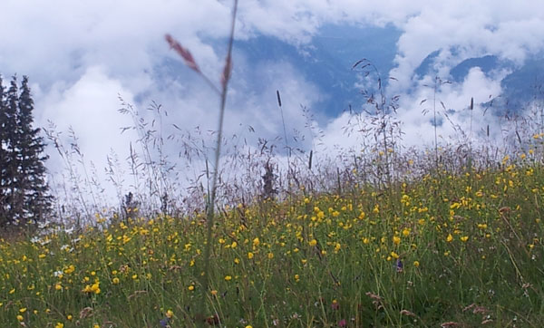 schöner Sommertag