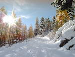 Winterwandern